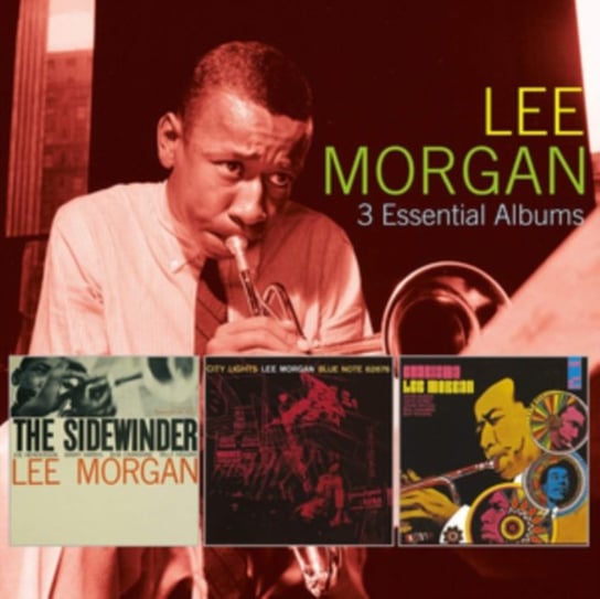 3 Essential Albums Morgan Lee