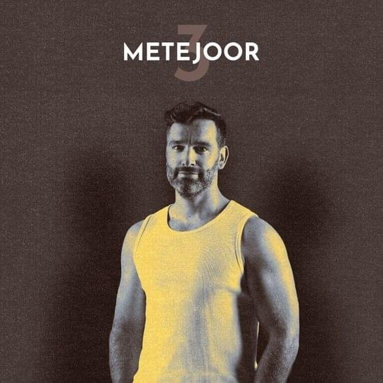3, płyta winylowa Metejoor