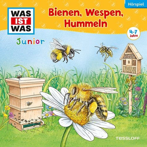 30: Bienen, Wespen, Hummeln Was Ist Was Junior