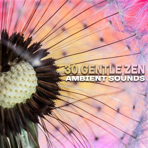 30 Gentle Zen Ambient Sounds: Soothing Music for Mindfulness Meditation, Yoga, Deep Sleep, Total Relax Body & Mind, Reduce Stress Total Relax Music Ambient