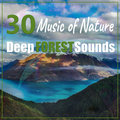 30 Music of Nature: Deep Forest Sounds - Magical Sleep & Relaxation Time, Zen Yoga Meditation, Mystical Rivers, White Noises, Birds & Animals Sounds to Relieve Stress Close to Nature Music Ensemble
