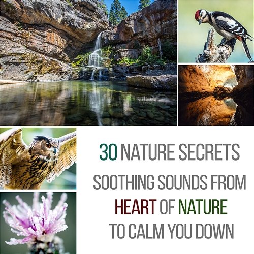 30 Nature Secrets - Soothing Sounds from the Heart of Nature to Calm You Down: Fight Stress & Fear, Beat Insomnia, Yoga Routine, Mindfulness, Aurveda & Beauty Spa Massage Serenity Nature Sounds Academy