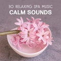 30 Relaxing Spa Music – Calm Sounds for Body & Mind Rest, Massage Sessions, Wellness, Pure Dreaming, Total Regeneration Spa Regeneration Zone