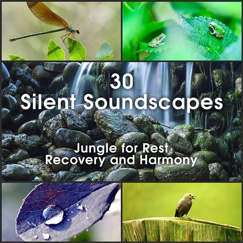 30 Silent Soundscapes: Jungle for Rest, Recovery and Harmony – Music and Sounds for Blissful Reflection, Deep Relaxation Scenery Mothers Nature Music Academy