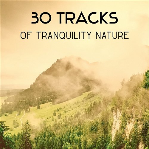 30 Tracks of Tranquility Nature – Soothing Sanctuary of Total Relaxation, Get Positive Attitude and Motivation for Self Realization, Buddhist Meditation, Breathing Exercises for Yoga Beautiful Nature Music Paradise