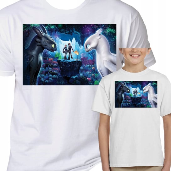 3060 Koszulka Dziecięca Jak Wytresować Smoka 104 Inna marka