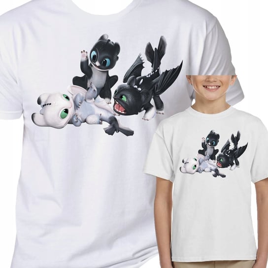 3063 Koszulka Dziecięca Jak Wytresować Smoka 140 Inna marka