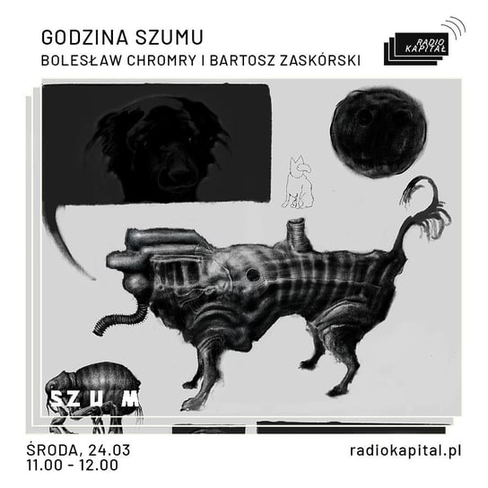 #31 Bolesław Chromry, Bartosz Zaskórski - Godzina Szumu - podcast Plinta Karolina