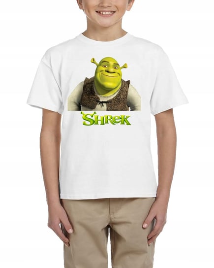 3127 Koszulka Dziecięca Shrek Fiona Kot Bajka 140 Inna marka
