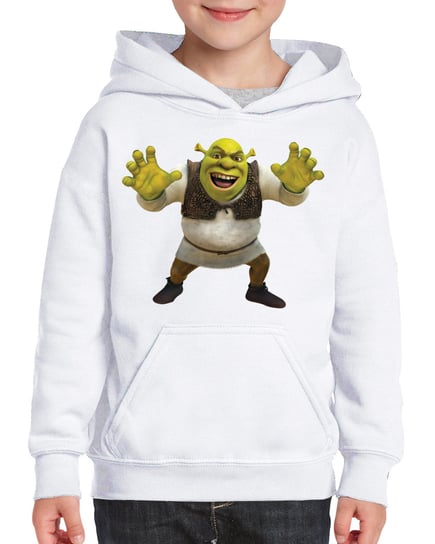 3131 Fiona Shrek Bluza Z Kapturem Kot Bajka 116 Inna marka