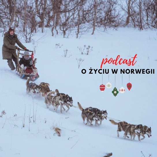 #32 Laponia, święta, emigracja, hejt - Przeboyova Polka - Życie w Norwegii - podcast Dvorakova Gosia