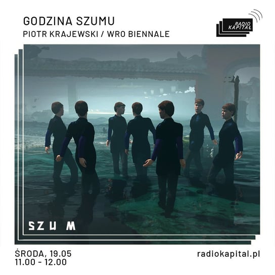 #35 Piotr Krajewski/WRO Biennale - Godzina Szumu - podcast Plinta Karolina