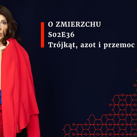 #36 Trójkąt, azot i przemoc -  S02E36 - O Zmierzchu - podcast Niedźwiecka Marta