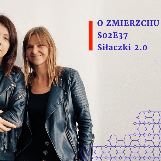 #37 Siłaczki 2.0 - S02E37 - O Zmierzchu - podcast - audiobook Niedźwiecka Marta