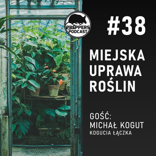 #38 Miejska uprawa roślin. Gość: Michał Kogut (Kogucia Łączka) - Preppers podcast Adamiak Bartosz