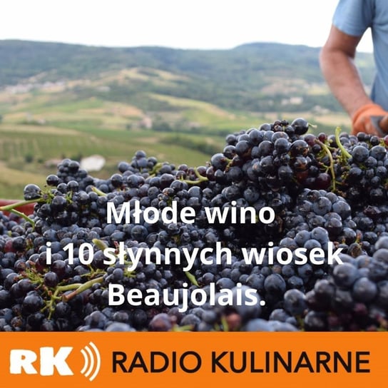 #39 Młode wino i 10 słynnych wiosek Beaujolais. Gość Wojtek Lutomski - Radio Kulinarne - podcast Dutkiewicz Wilczyński