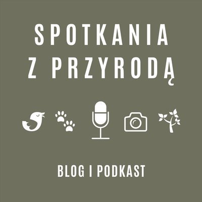 #39 Odcinek 039 – malarka Aga Aszkiełowicz – Natura w sztuce, malarstwo i fotografia - Spotkania z przyrodą - podcast Stanecki Michał