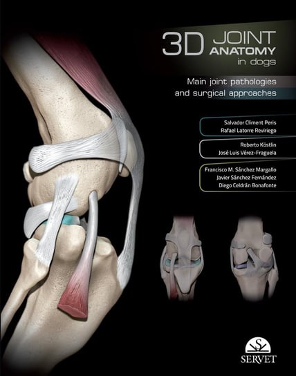 3D Joint anatomy in dogs Salvador Climent, Rafael Latorre, Roberto Köstlin