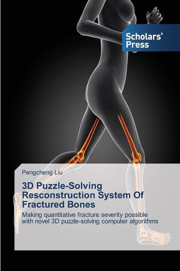 3D Puzzle-Solving Resconstruction System of Fractured Bones Liu Pengcheng