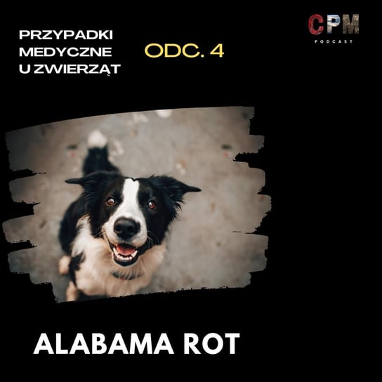 #4 Alabama rot. Na śmierć psom | Przypadki medyczne u zwierząt - Ciekawe przypadki medyczne - podcast - audiobook Zieliński Kamil