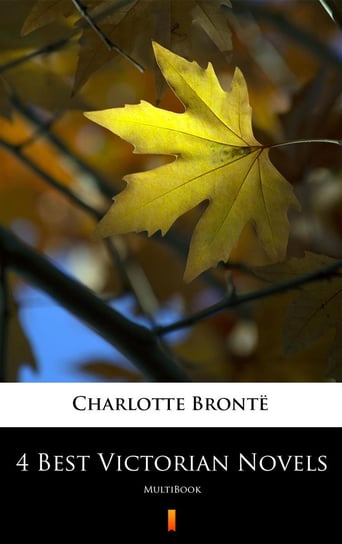 4 Best Victorian Novels Bronte Charlotte
