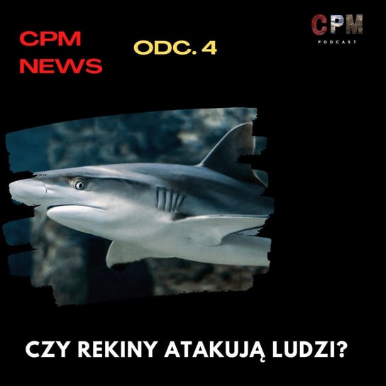 #4 Czy rekiny atakują ludzi? Analiza czerwcowego wypadku w Egipcie | News - Ciekawe przypadki medyczne - podcast Zieliński Kamil