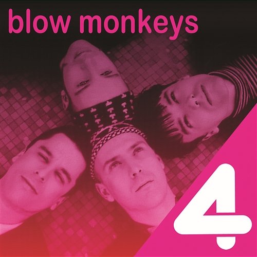 It Doesn't Have to Be This Way The Blow Monkeys