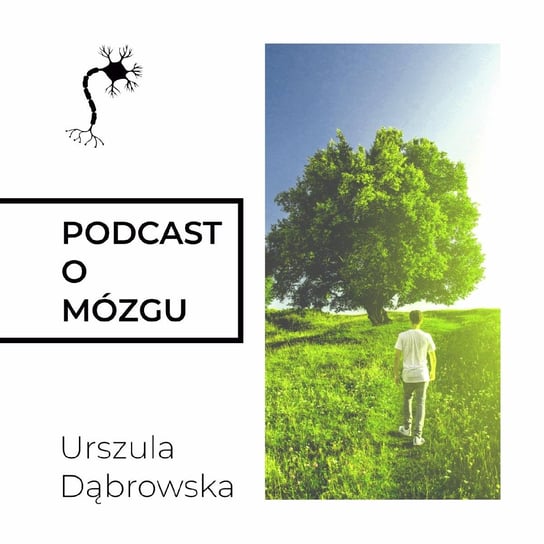 #4 Mózg na standby'u - Podcast o mózgu - podcast Dąbrowska Urszula