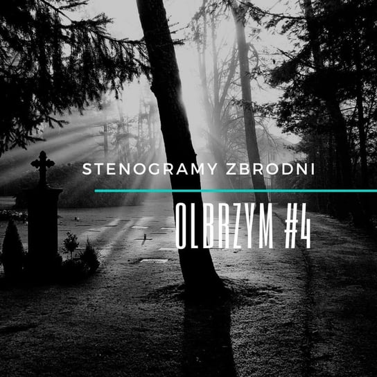 #4 Olbrzym - Stenogramy zbrodni - podcast Wielg Piotr