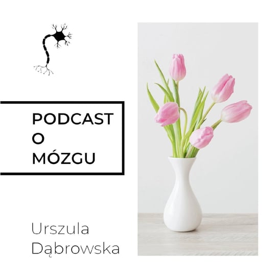 #40 Wysoko Wrażliwe Mózgi - Podcast o mózgu - podcast Dąbrowska Urszula