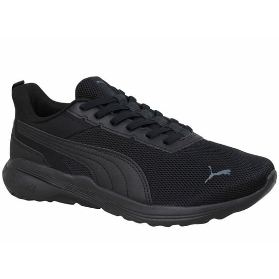 40631201 Puma