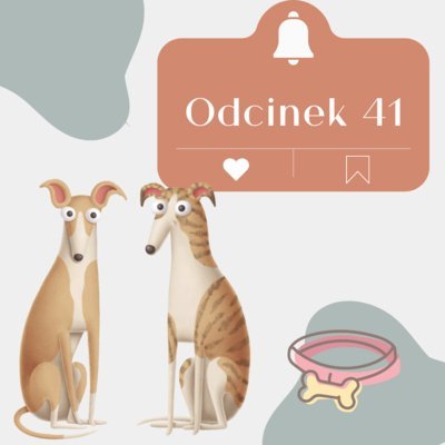 #41 O tym jak pomóc psu w upały - Psie Sprawy - podcast Wójcicka Milena