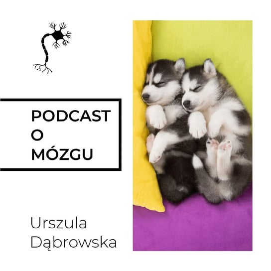 #41 Trzy Sposoby na Bliskość - Podcast o mózgu - podcast Dąbrowska Urszula