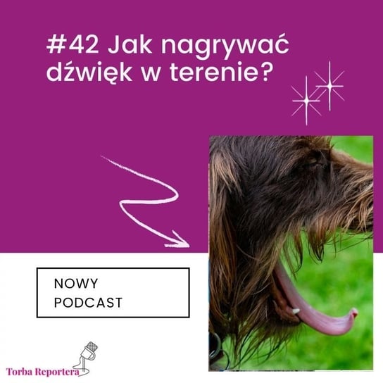 #42 Jak nagrywać dźwięk w terenie? - Torba reportera i podcastera - podcast Bogoryja-Zakrzewska Hanna, Błaszczyk Katarzyna