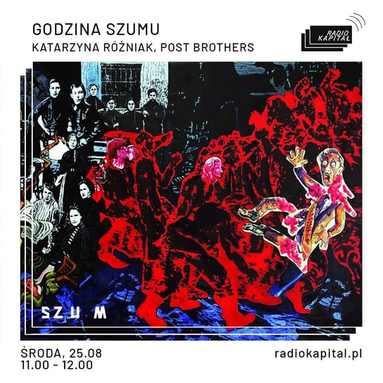 #42 Katarzyna Różniak, Post Brothers - Godzina Szumu - podcast Plinta Karolina