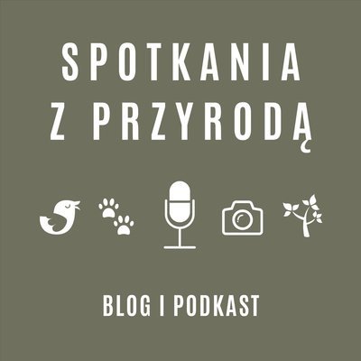 #42 Odcinek 042 - fotografka Małgorzata Książkiewicz - Przyrodnicza Fotografia Nieoczywista - Spotkania z przyrodą - podcast - audiobook Stanecki Michał