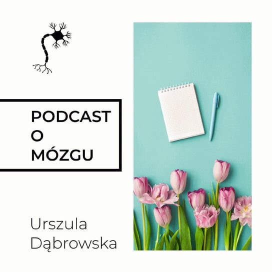 #43 4 Filary Uczenia się - Podcast o mózgu - podcast Dąbrowska Urszula