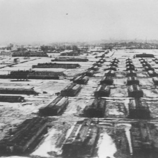 #43 Filmowa kronika wyzwolenia obozu Auschwitz - O Auschwitz - podcast Muzeum Auschwitz
