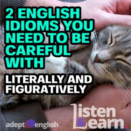 #443 2 English Idioms You Need To Be Careful With Literally And Figuratively - audiobook Opracowanie zbiorowe