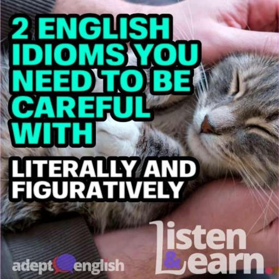 #443 2 English Idioms You Need To Be Careful With Literally And Figuratively Opracowanie zbiorowe
