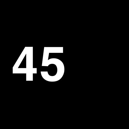 45 Black Foxxes