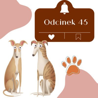 #45 O spacerze dekompresyjnym - Psie Sprawy - podcast Wójcicka Milena