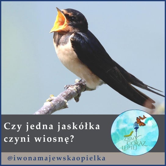 #451 Czy jedna jaskółka czyni wiosnę? - Żyjmy Coraz Lepiej - podcast Kniat Tomek, Majewska-Opiełka Iwona