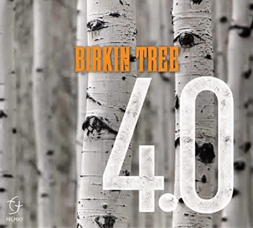45295 Birkin Tree