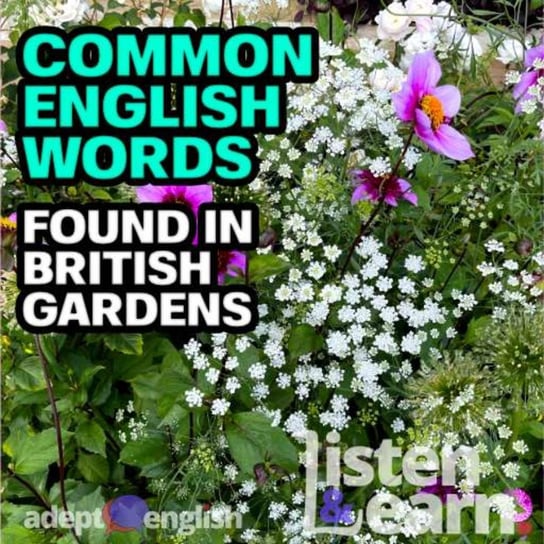 #453 Common English Words Found In British Gardens Opracowanie zbiorowe