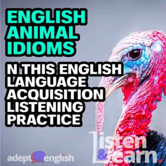#459 English Animal Idioms In This English Language Acquisition Listening Practice Opracowanie zbiorowe