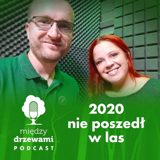 #46 2020 nie poszedł w las! [Michał Wieciech] PODSUMOWANIE ROKU - Między drzewami - podcast Opracowanie zbiorowe