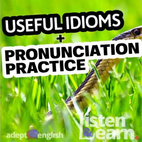 #463 Useful Idioms With An English Speaking Practice Quiz - audiobook Opracowanie zbiorowe