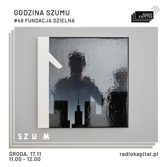 #48 Fundacja Dzielna (Rafał Bujnowski, Agnieszka Tarasiuk) - Godzina Szumu - podcast - audiobook Plinta Karolina