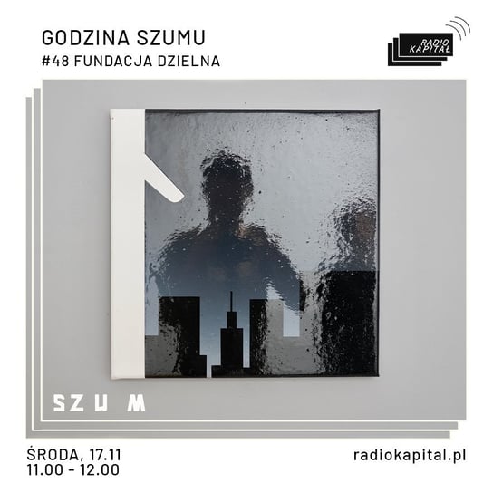 #48 Fundacja Dzielna (Rafał Bujnowski, Agnieszka Tarasiuk) - Godzina Szumu - podcast Plinta Karolina